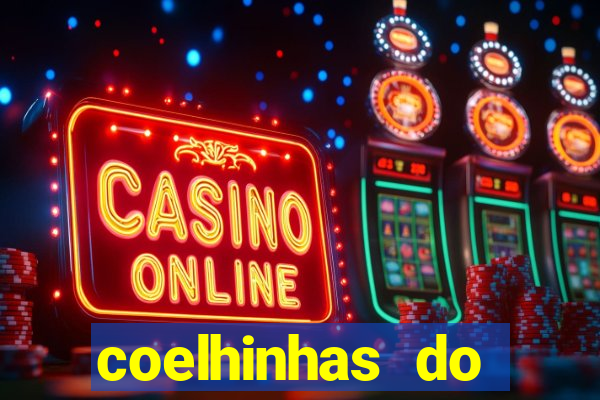 coelhinhas do brasil recife